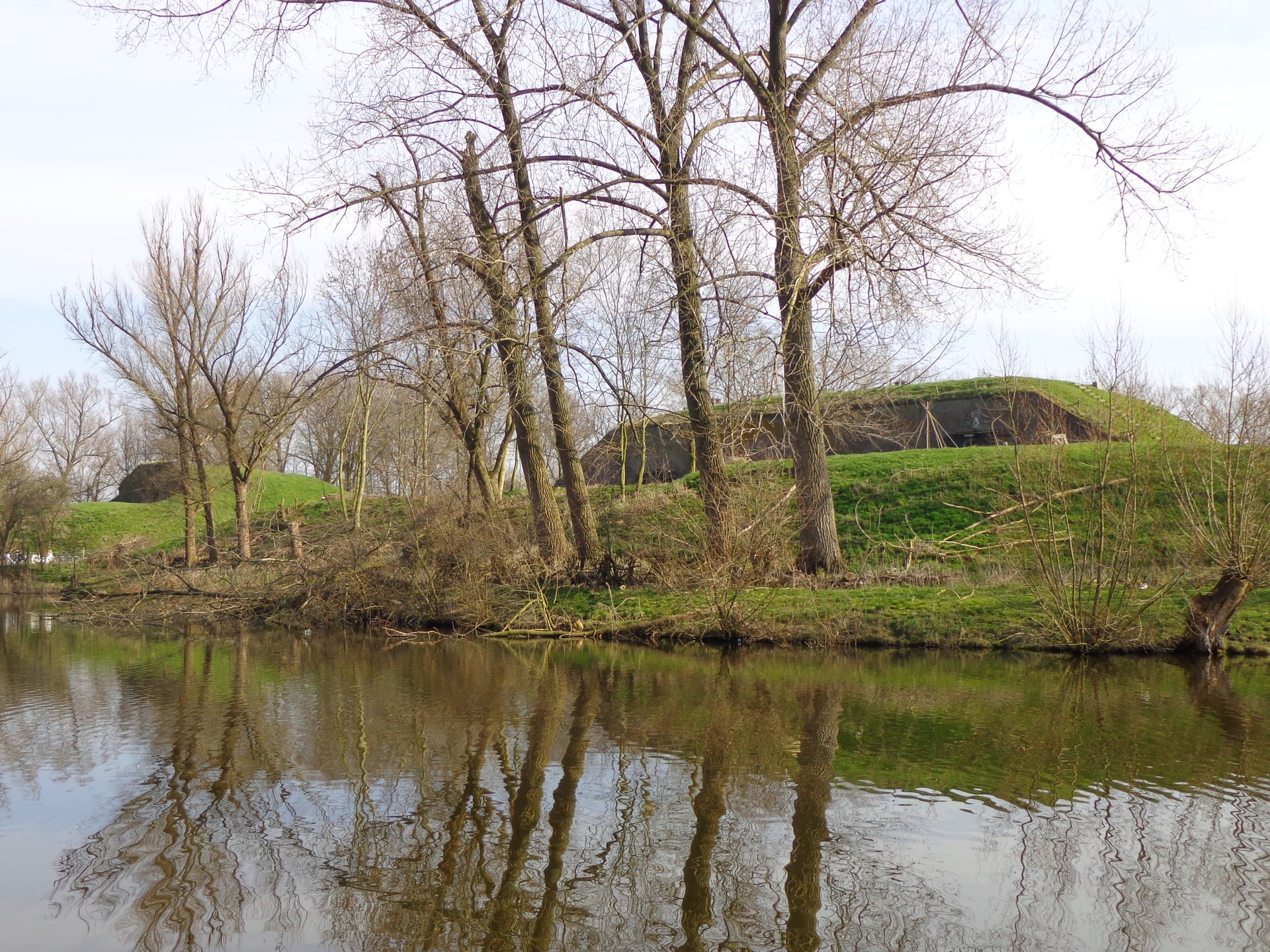 Webshop ontwikkeling Giessen